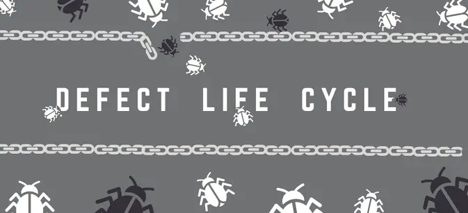 Defect Life Cycle