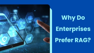 Why Do Enterprises Prefer RAG? 